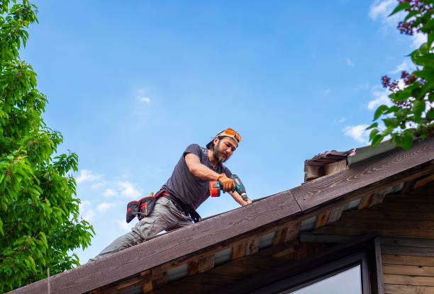 Fast & Reliable Emergency Roof Repairs in Oakwood, IL